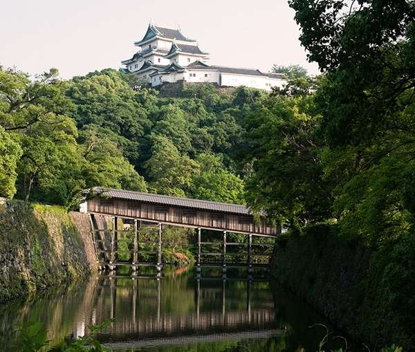wakayama