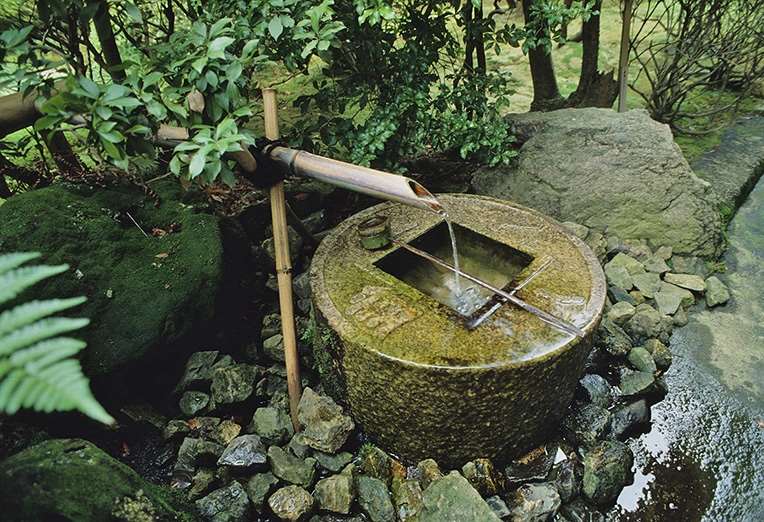 zen kilde 764