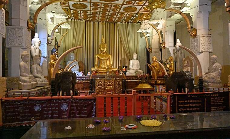buddhas tandtempel 760